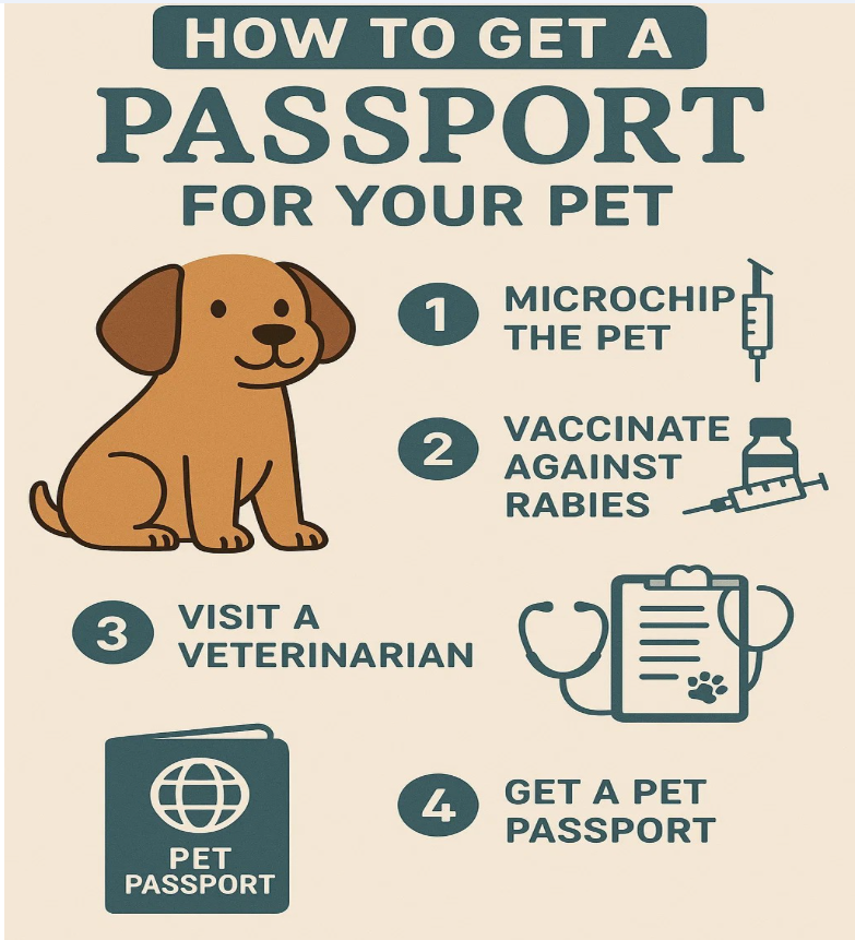How Much Does It Cost for a Pet Passport in the UAE?